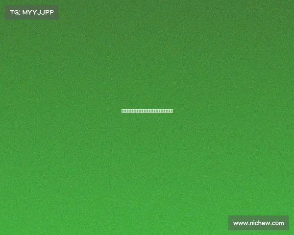 法甲球迷激情应援：为爱而战的力量与情感传递