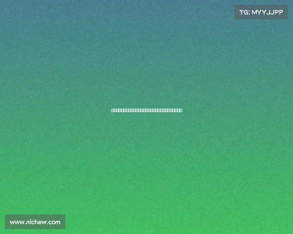 小米林：我加盟那不勒斯是因为他们能参加欧冠这是重要原因之一