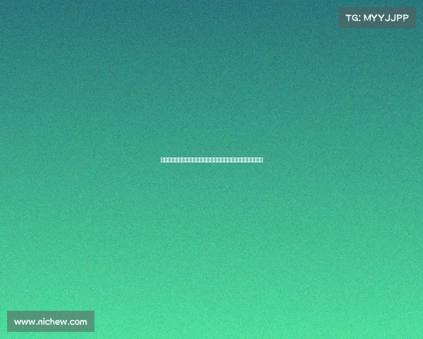 小米林：我加盟那不勒斯是因为他们能参加欧冠这是重要原因之一